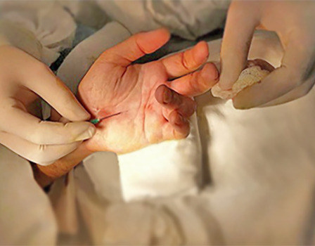 слайдер фото 2